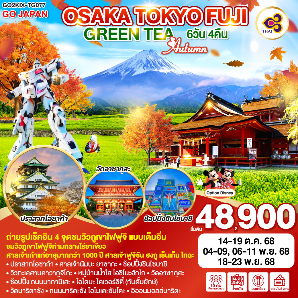 ทัวร์ญี่ปุ่น OSAKA TOKYO FUJI GREEN TEA AUTUMN 6วัน 4คืน  (TG)